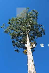 东亚银行车位贷逾期两天 东亚银行车位贷逾期两天