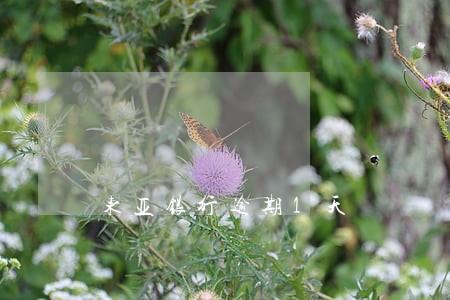 东亚银行逾期1天 东亚银行逾期1天