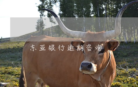 东亚银行逾期咨询 东亚银行逾期咨询
