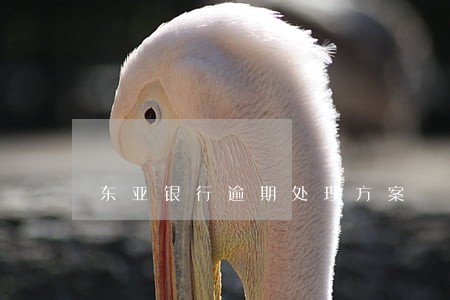 东亚银行逾期处理方案 东亚银行逾期处理方案