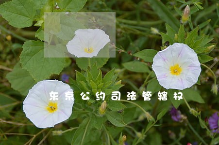 东京公约司法管辖权 东京公约司法管辖权