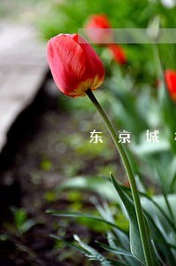 东京城林区基层法院电话 东京城林区基层法院电话