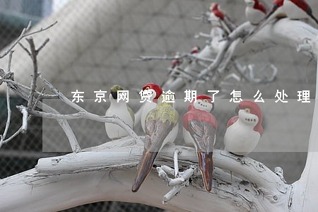 东京网贷逾期了怎么处理 东京网贷逾期了怎么处理