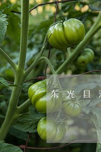 东光县消费权益在线律师 东光县消费权益在线律师