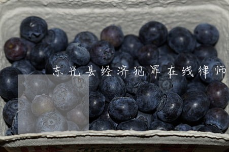 东光县经济犯罪在线律师咨询 东光县经济犯罪在线律师咨询