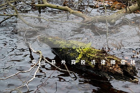 东兰县外商投资律师在线免费咨询