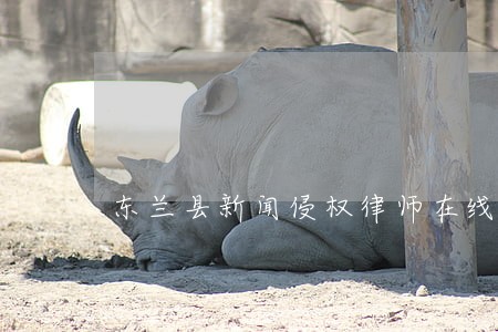东兰县新闻侵权律师在线免费咨询 东兰县新闻侵权律师在线免费咨询