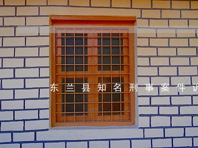 东兰县知名刑事案件诉讼律师 东兰县知名刑事案件诉讼律师