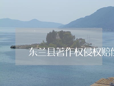 东兰县著作权侵权赔偿纠纷律师 东兰县著作权侵权赔偿纠纷律师