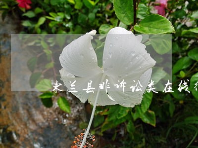 东兰县非诉讼类在线律师 东兰县非诉讼类在线律师