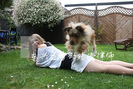东兴区劳动赔偿律师 东兴区劳动赔偿律师