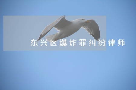 东兴区爆炸罪纠纷律师