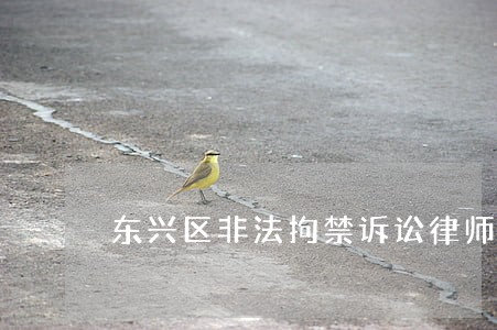 东兴区非法拘禁诉讼律师