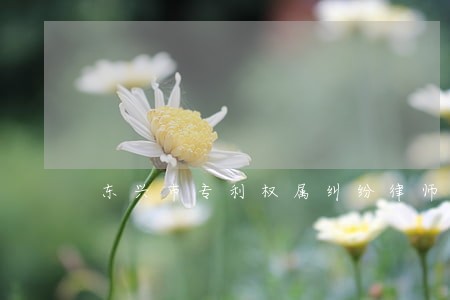 东兴市专利权属纠纷律师