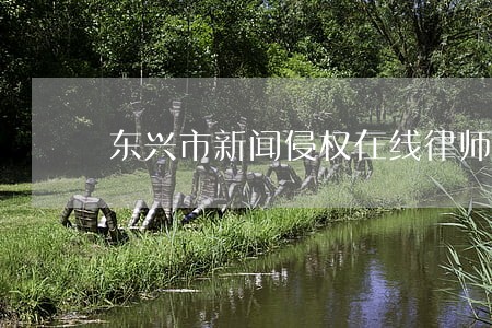 东兴市新闻侵权在线律师 东兴市新闻侵权在线律师