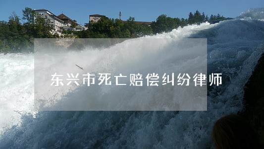 东兴市死亡赔偿纠纷律师 东兴市死亡赔偿纠纷律师