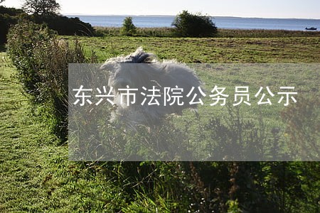 东兴市法院公务员公示 东兴市法院公务员公示