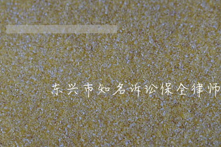 东兴市知名诉讼保全律师 东兴市知名诉讼保全律师