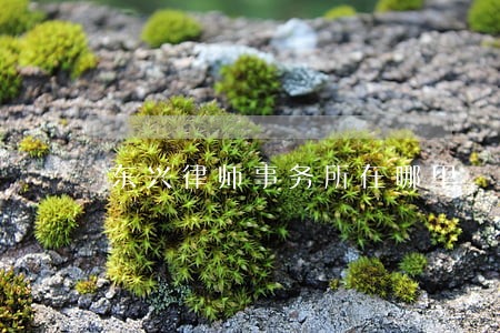 东兴律师事务所在哪里 东兴律师事务所在哪里