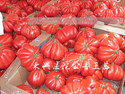 东兴法院公告王茜