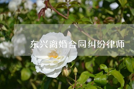 东兴离婚合同纠纷律师 东兴离婚合同纠纷律师