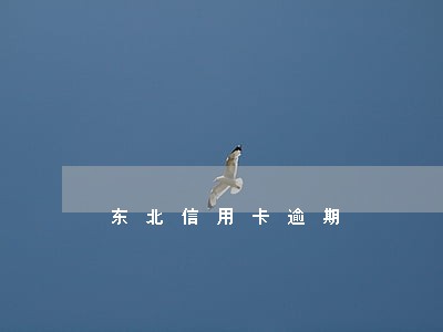 东北信用卡逾期 东北信用卡逾期