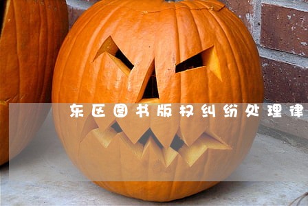 东区图书版权纠纷处理律师 东区图书版权纠纷处理律师