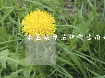 东区娱乐法律师咨询电话 东区娱乐法律师咨询电话