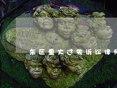 东区重大过失诉讼律师 东区重大过失诉讼律师