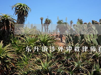 东升镇涉外仲裁律师在线咨询 东升镇涉外仲裁律师在线咨询