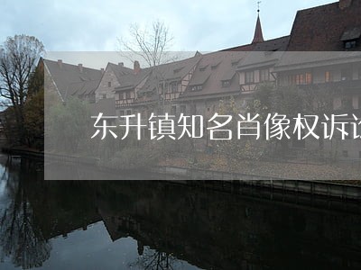 东升镇知名肖像权诉讼律师 东升镇知名肖像权诉讼律师