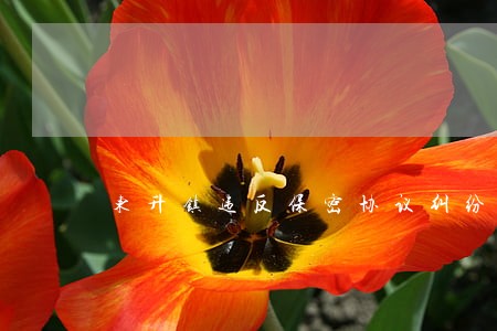 东升镇违反保密协议纠纷律师