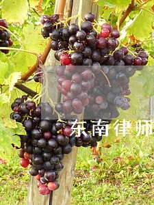 东南律师事务所电话 东南律师事务所电话