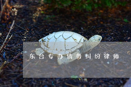 东台专办债务纠纷律师 东台专办债务纠纷律师