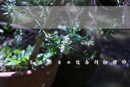 东台市专办债务纠纷律师多少钱 东台市专办债务纠纷律师多少钱