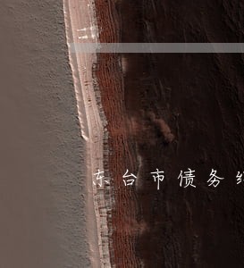 东台市债务纠纷律师 东台市债务纠纷律师