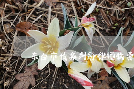 东台市债务纠纷律师收费 东台市债务纠纷律师收费