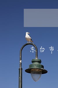 东台市减刑辩护律师找谁好 东台市减刑辩护律师找谁好
