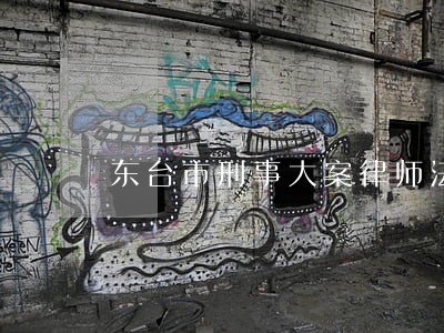 东台市刑事大案律师法律咨询 东台市刑事大案律师法律咨询