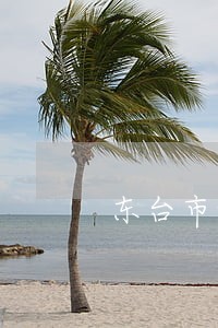 东台市刑事官司律师哪个好
