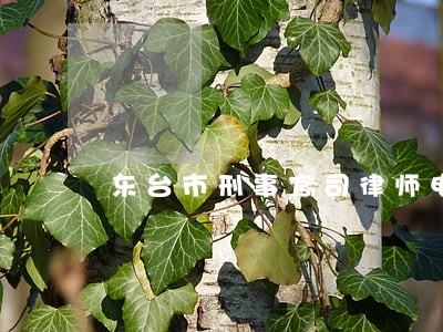 东台市刑事官司律师电话信誉良好 东台市刑事官司律师电话信誉良好