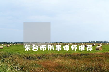 东台市刑事律师推荐 东台市刑事律师推荐