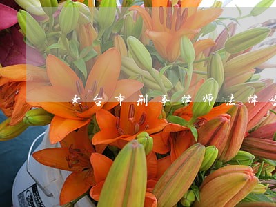 东台市刑事律师法律咨询 东台市刑事律师法律咨询