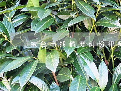 东台市找债务纠纷律师法律咨询 东台市找债务纠纷律师法律咨询