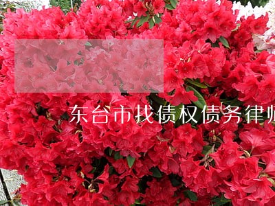 东台市找债权债务律师找谁好 东台市找债权债务律师找谁好