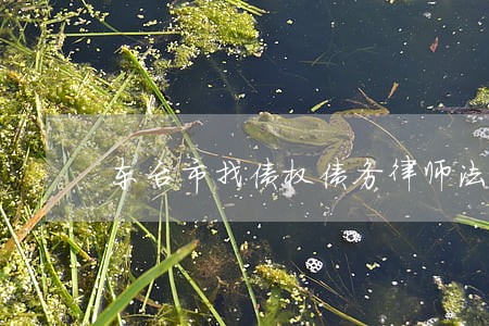 东台市找债权债务律师法律咨询 东台市找债权债务律师法律咨询