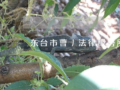 东台市曹丿法律服务所 东台市曹丿法律服务所