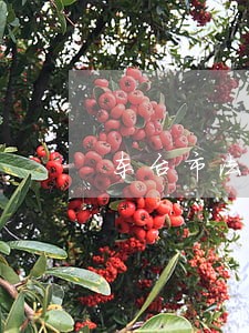 东台市法律咨询免费 东台市法律咨询免费