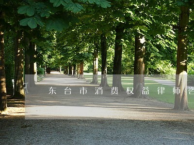 东台市消费权益律师咨询电话 东台市消费权益律师咨询电话
