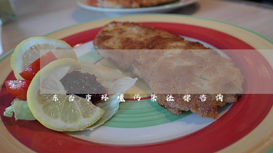 东台市环境污染法律咨询